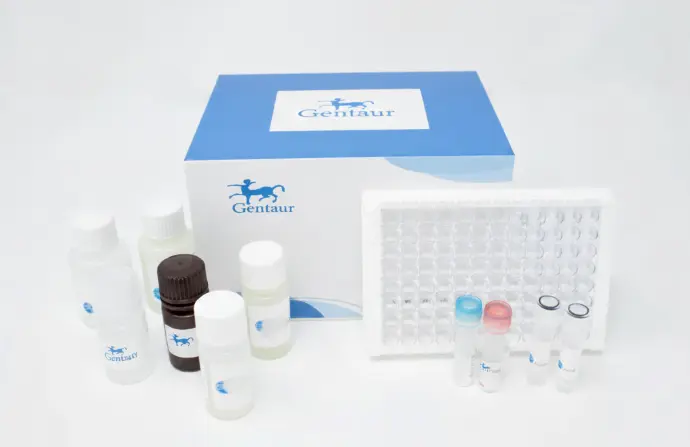 Equalbit 1 × dsDNA HS Assay Test - 100 Assays