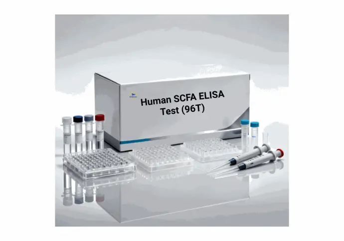 Human Short-Chain Fatty Acids (ScFA) ELISA Test